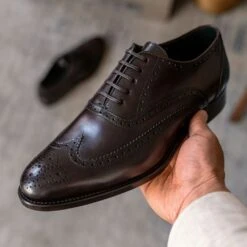 Aviator | Chocolate -Casual Shoes World 1024x1024 Men Aviator Chocolate 080123 3